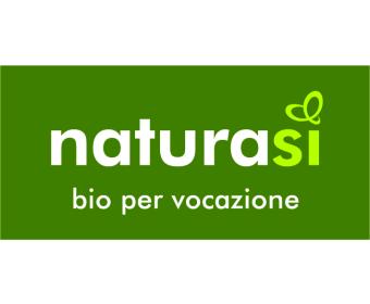 Logo-nsi-2015-orizzontale.jpg